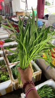 Как готовить водный шпинат