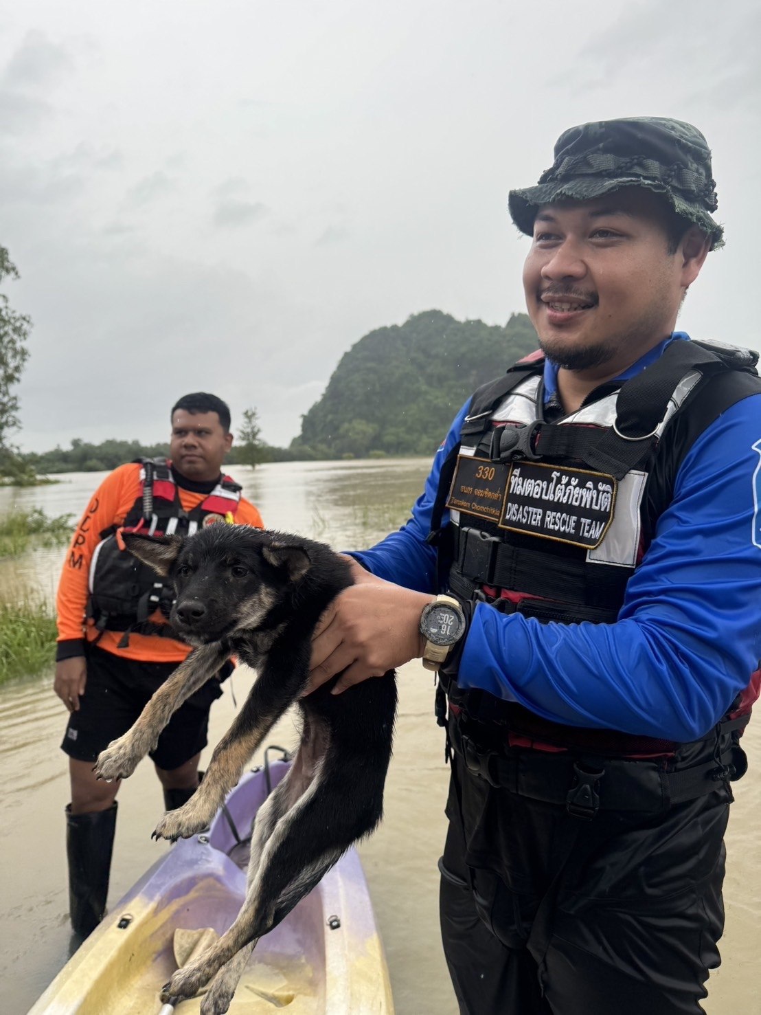 Трогательная история спасения щенка
