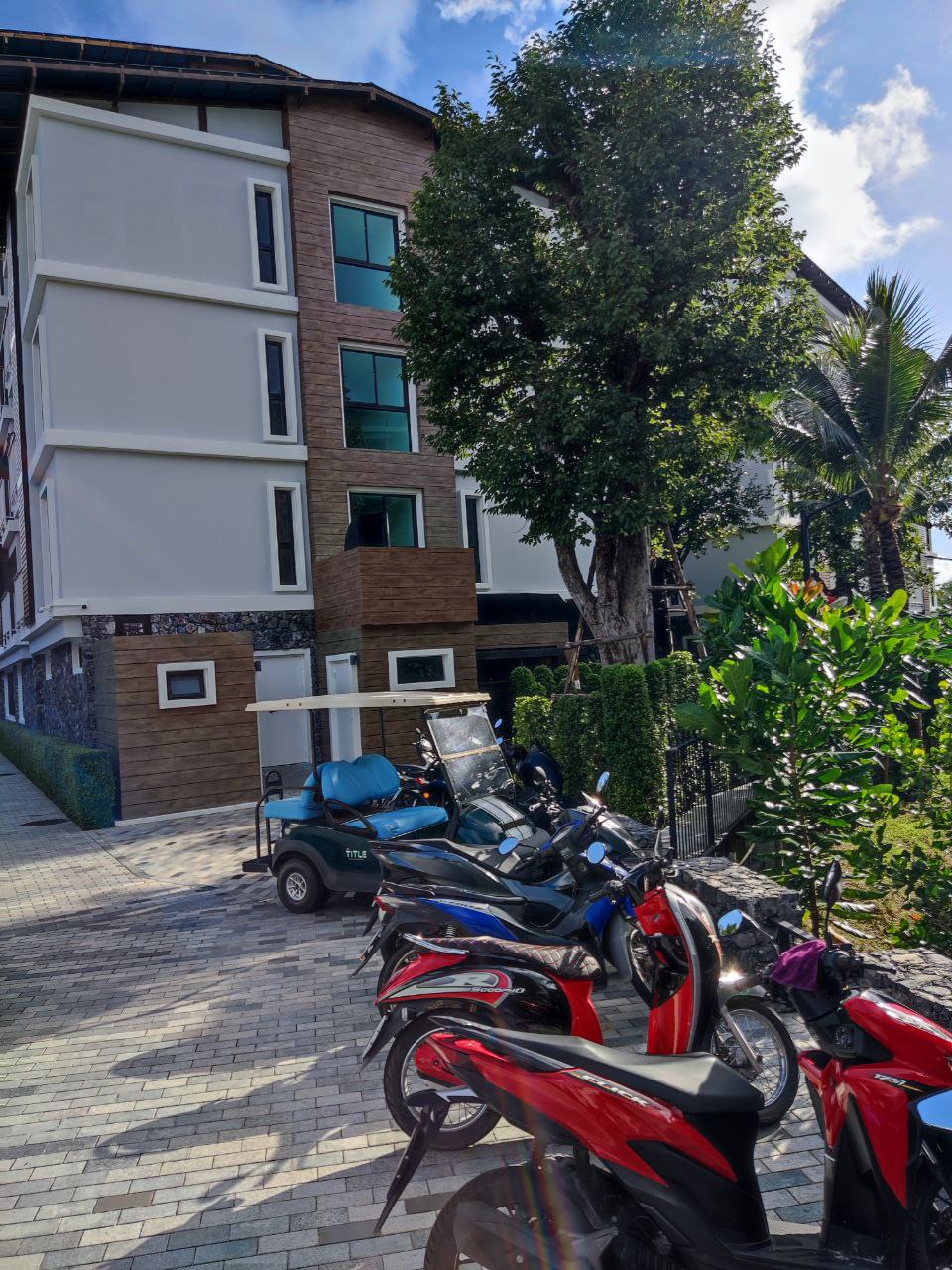 Аренда квартир с видом на сад