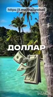 Выгодный курс и недвижимость в Таиланде