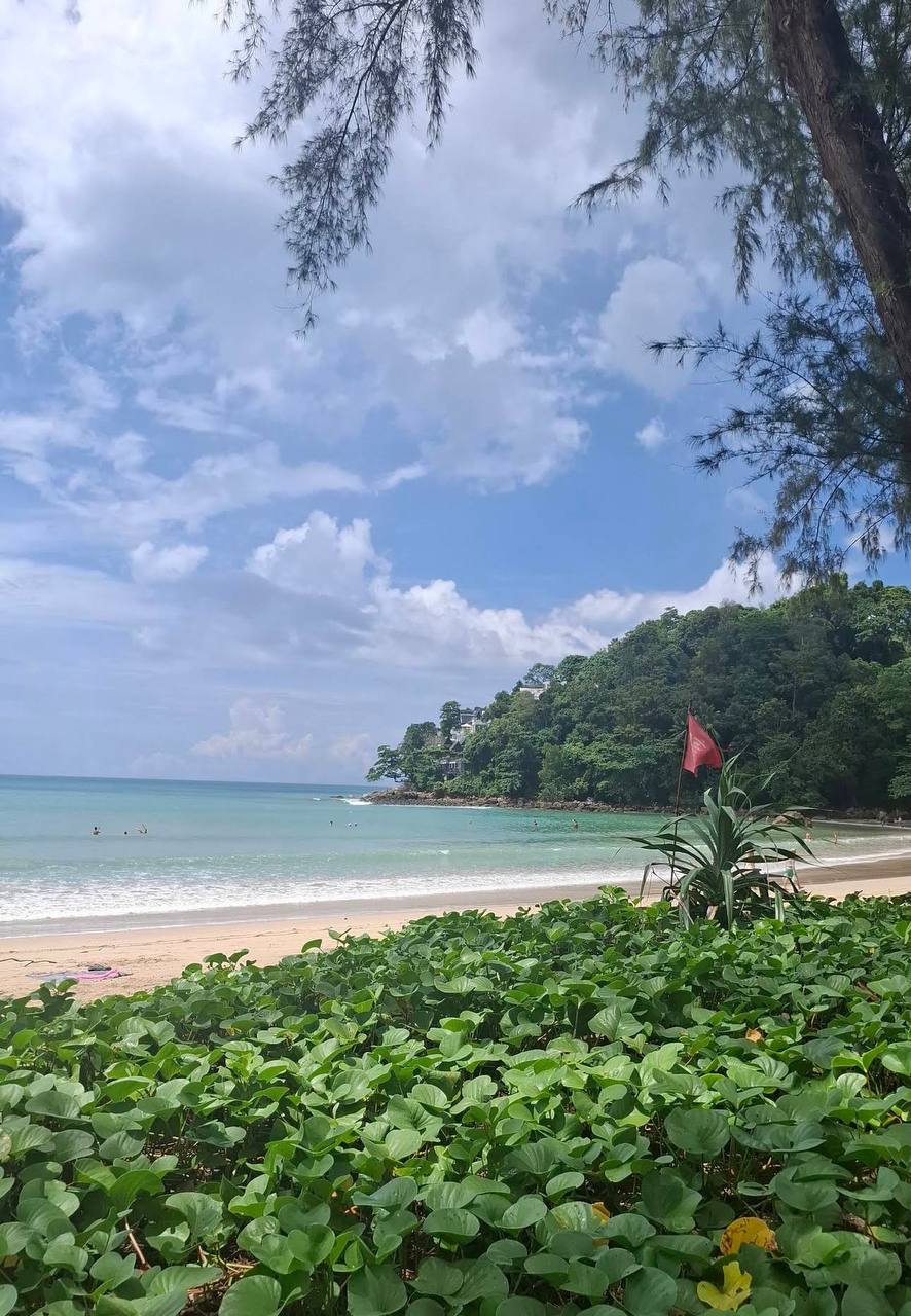 Аренда апартаментов в комплексе Камалы