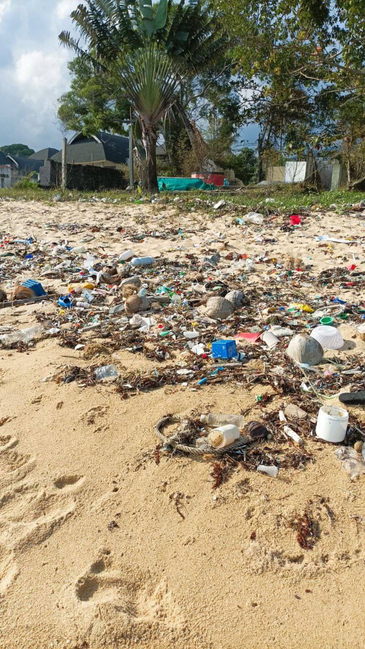 Борьба с пластиковыми отходами