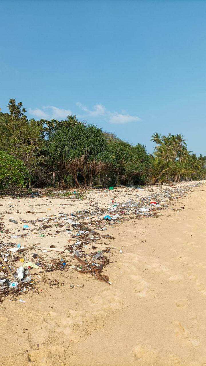 Борьба с пластиковыми отходами