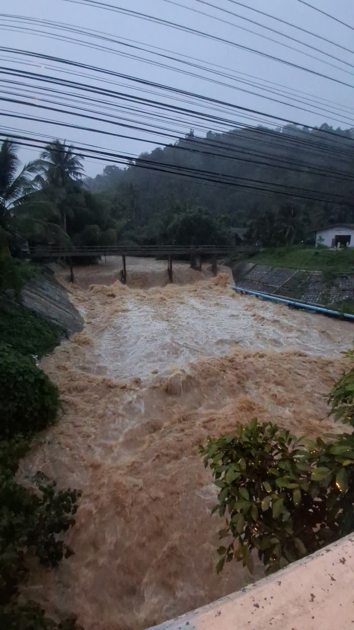Трагедия в Яла: наводнения и оползни