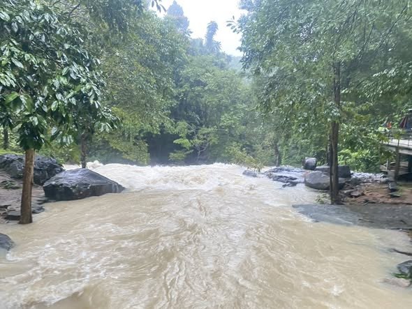 Тревога в заповеднике Тон Нга Чанг