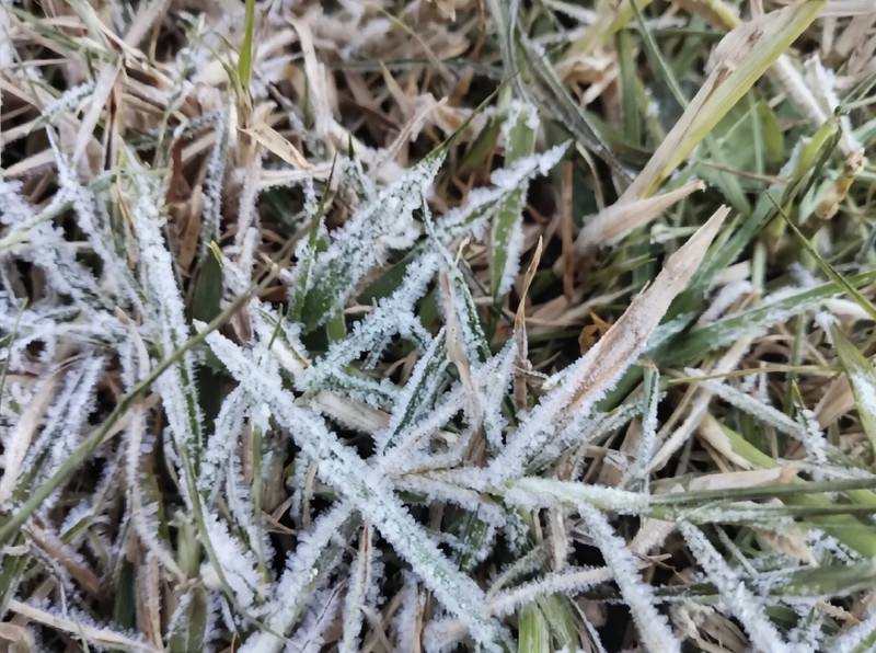 Первые заморозки на Дой Интханон