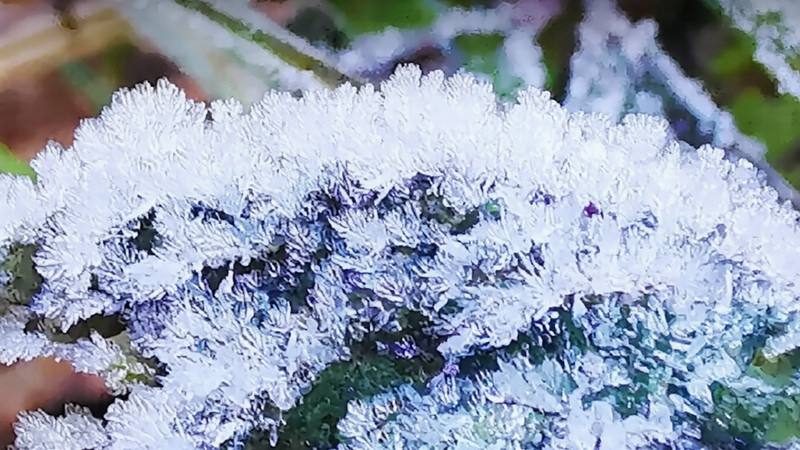 Первые заморозки на Дой Интханон