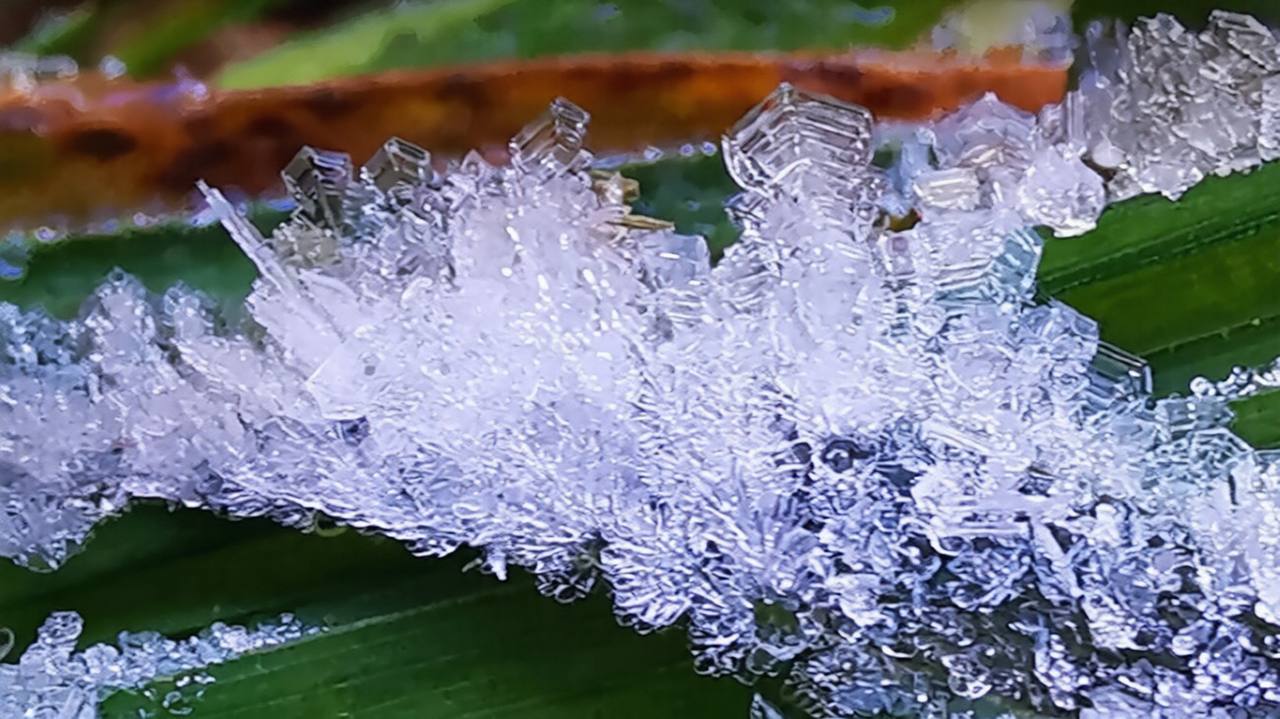 Первые заморозки на Дой Интханон