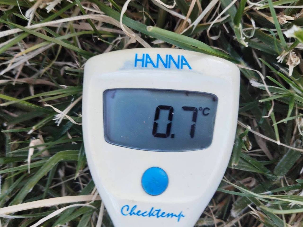 Первые заморозки на Дой Интханон