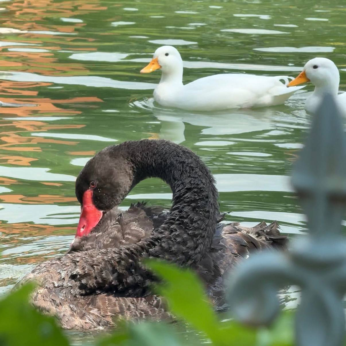 Покупка дома в загородном поселке