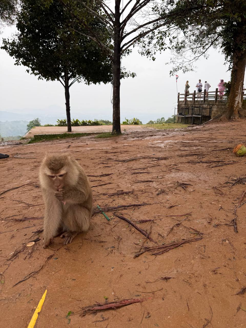 Отзыв о тропиктур: экскурсия с гидом