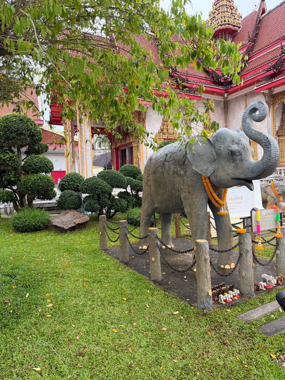 Отзыв о тропиктур: экскурсия с гидом