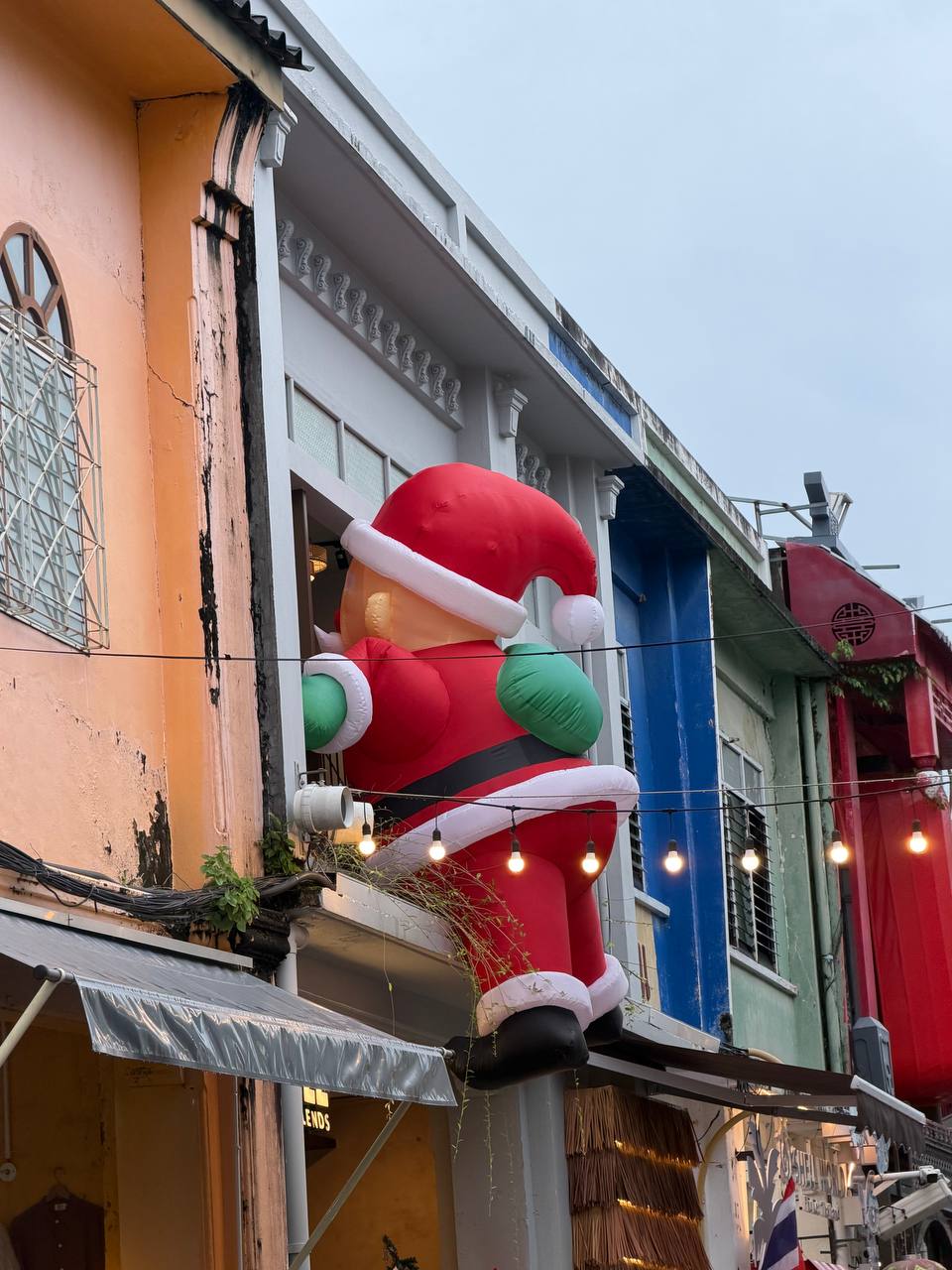 Отзыв о тропиктур: экскурсия с гидом