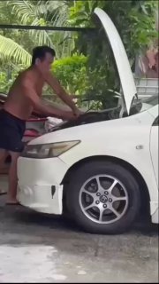 Змеи и жильё в Таиланде