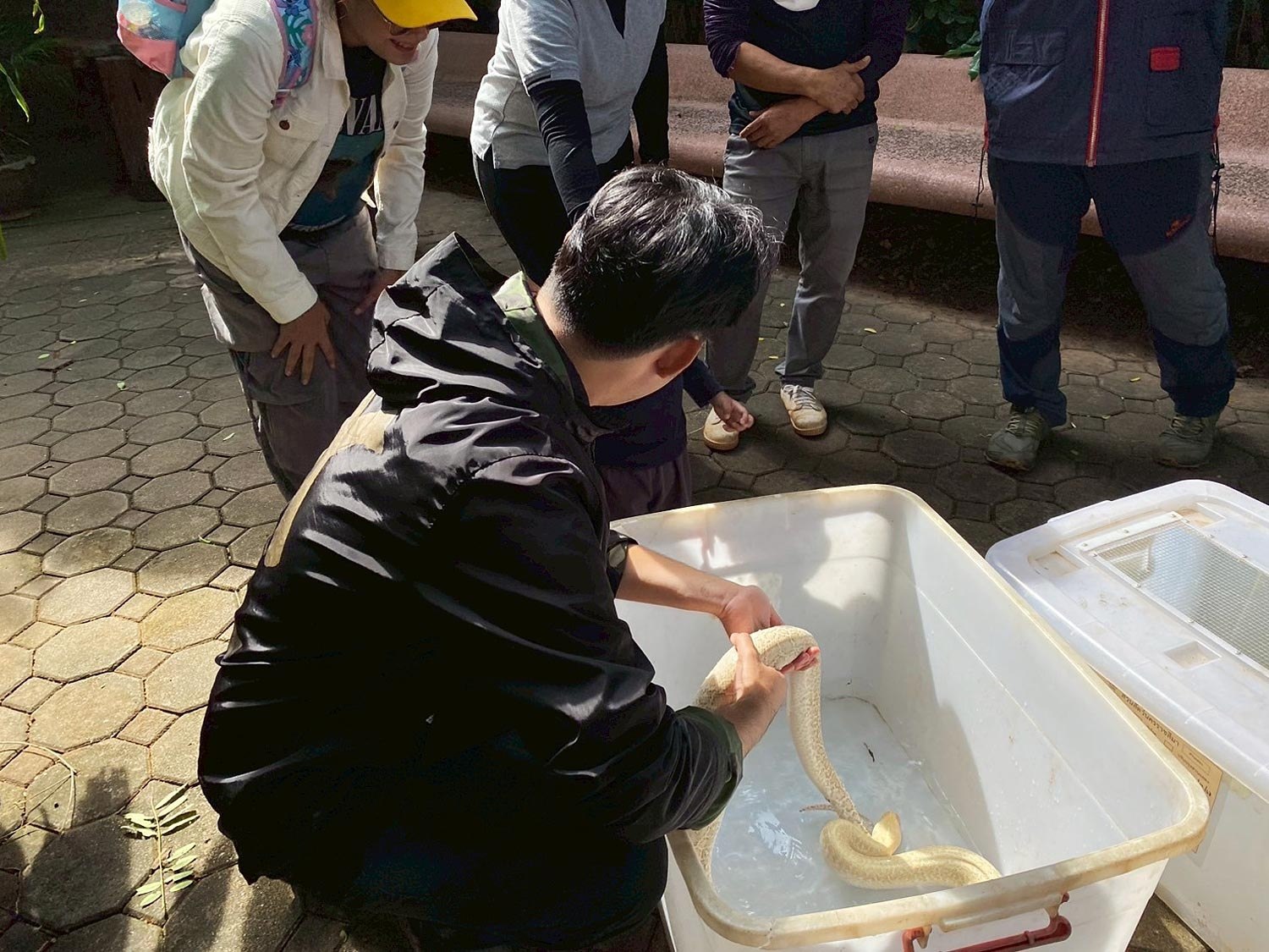 Забота о животных в зоопарке Корат