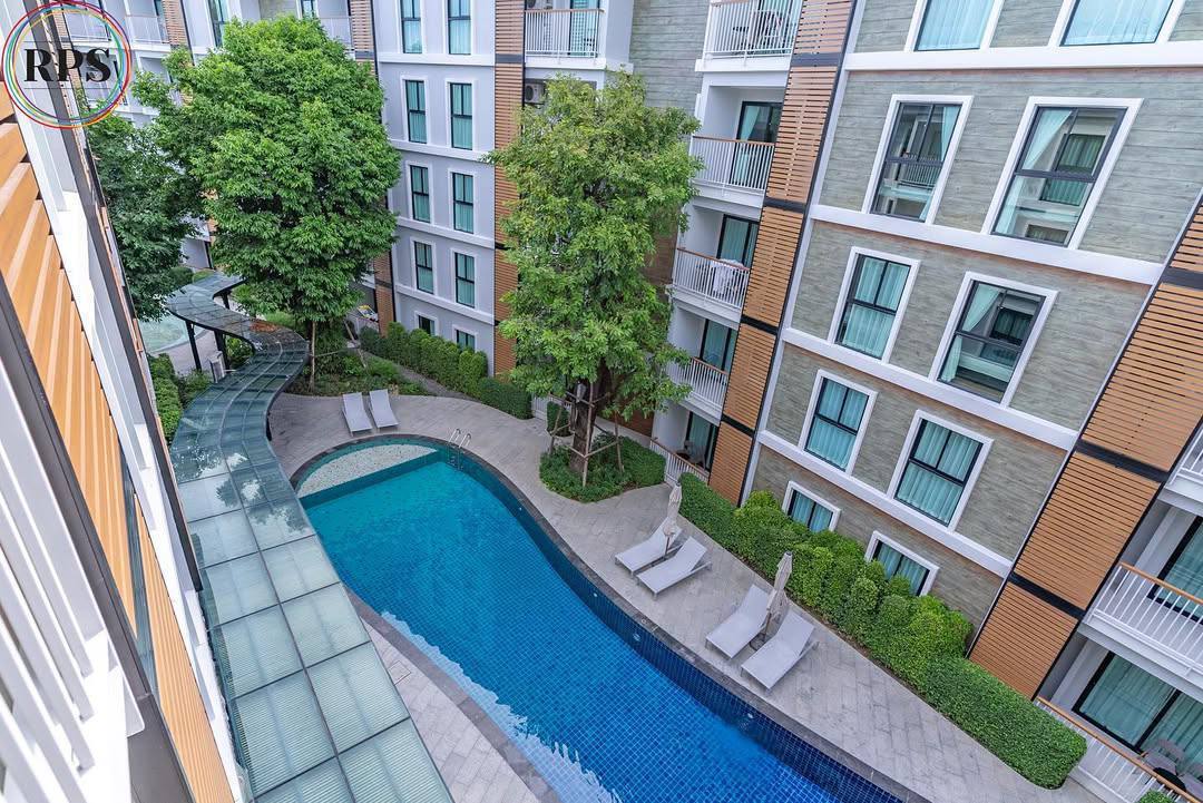 Аренда современных апартаментов у моря