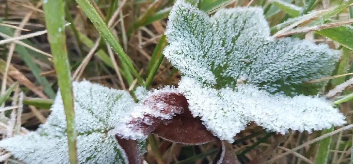 Зима в Таиланде: Иней на Дой Интханоне