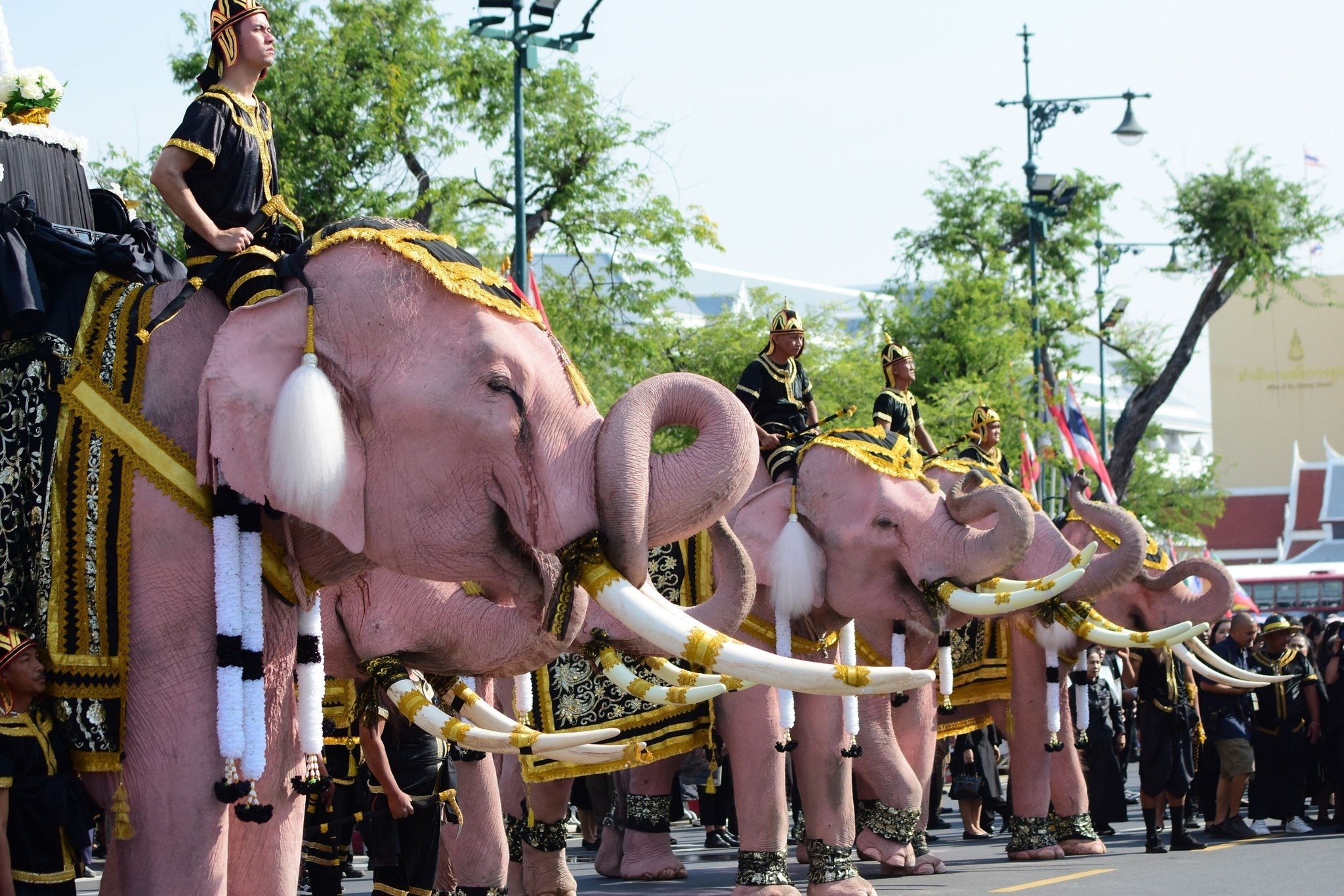 Церемония почтения королеве-матери Сирикит