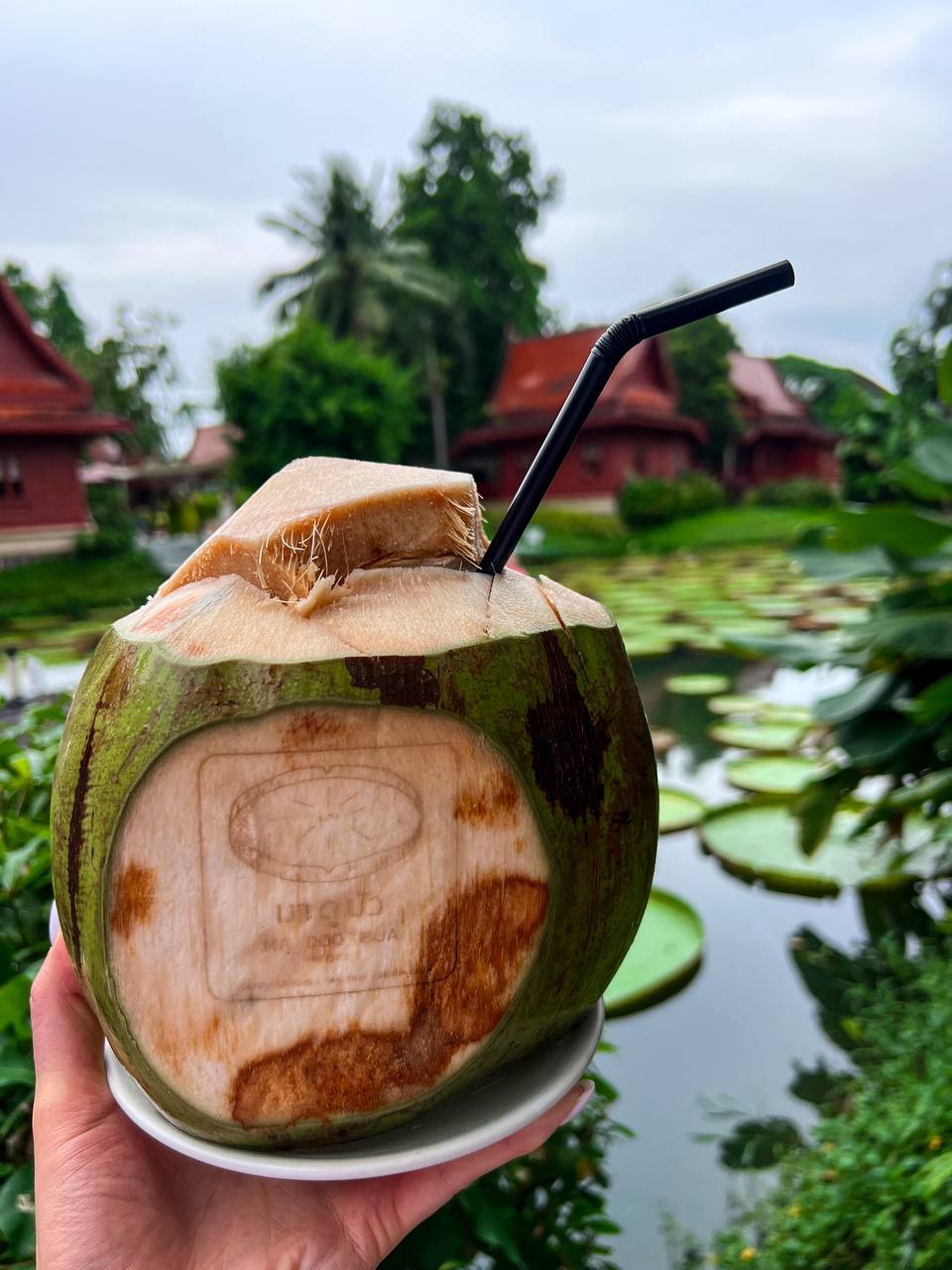 Отзыв об экскурсии 'инстатур'