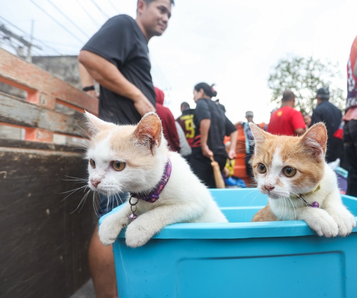 Положительные новости из Хатъяя