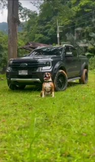 Аренда пикапа на Пхукете