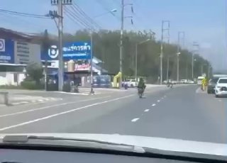 Тренер по муай-тай задержан за опасную езду