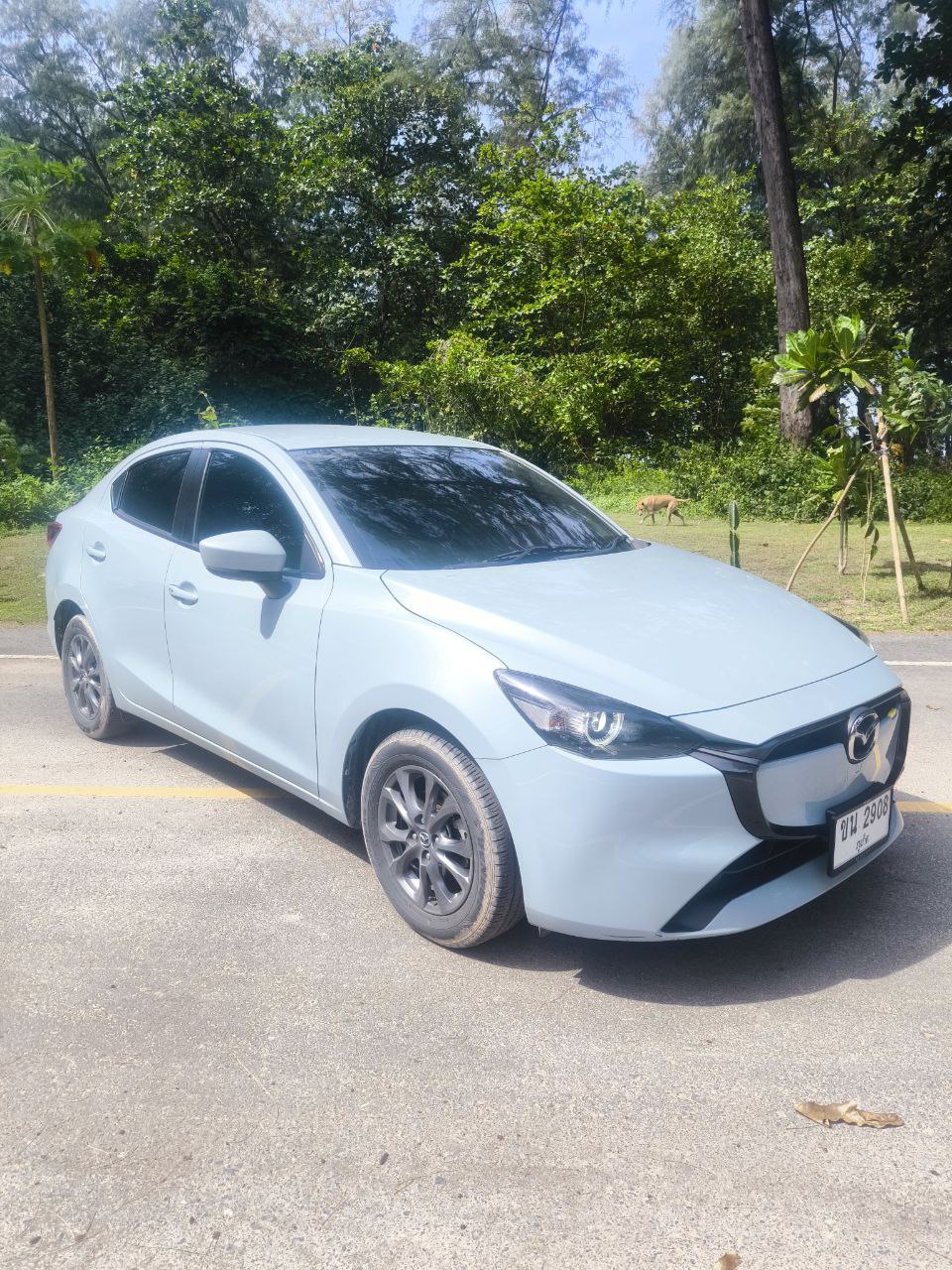 Аренда авто на Пхукете