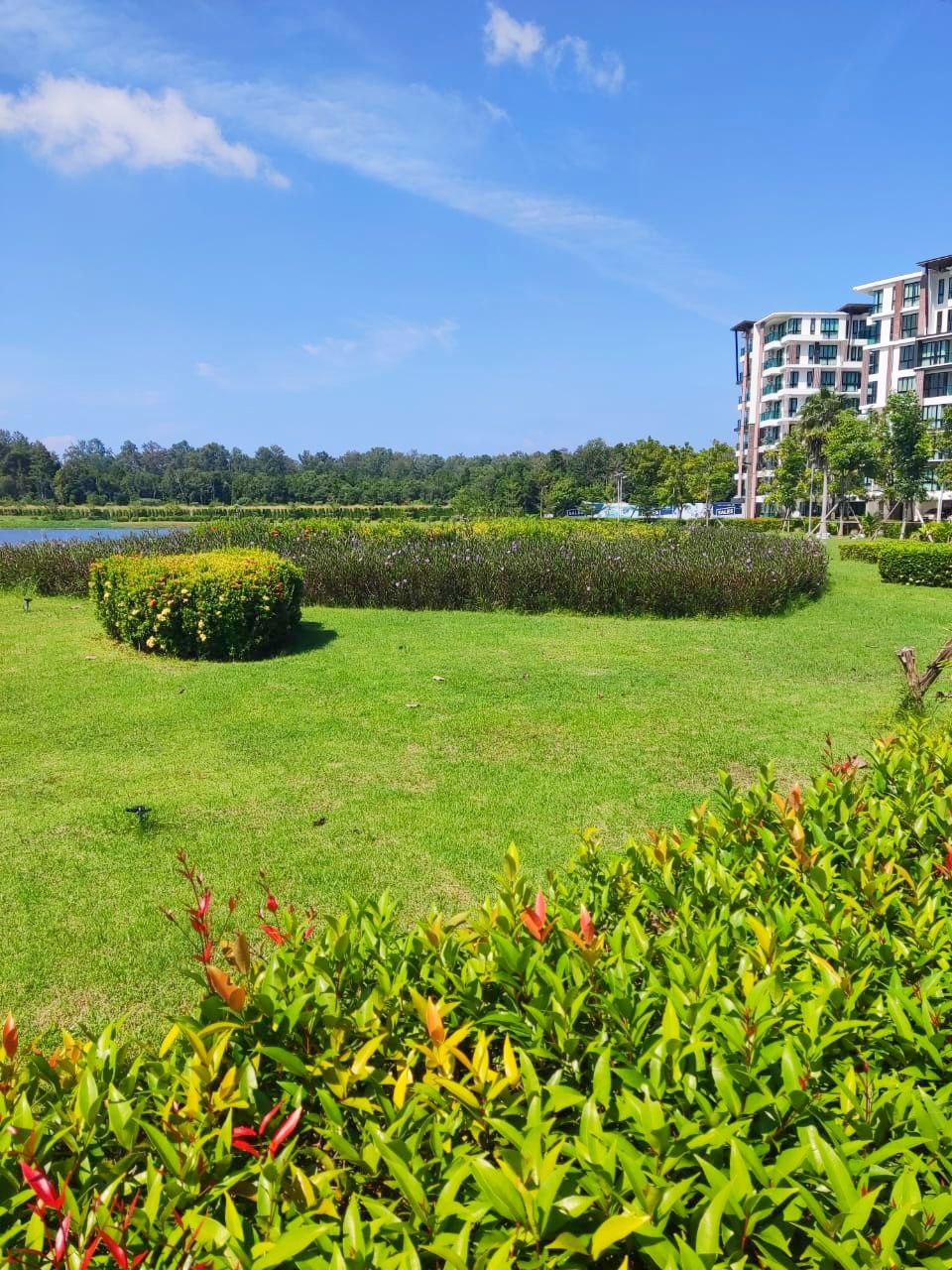 Аренда апартаментов у пляжа