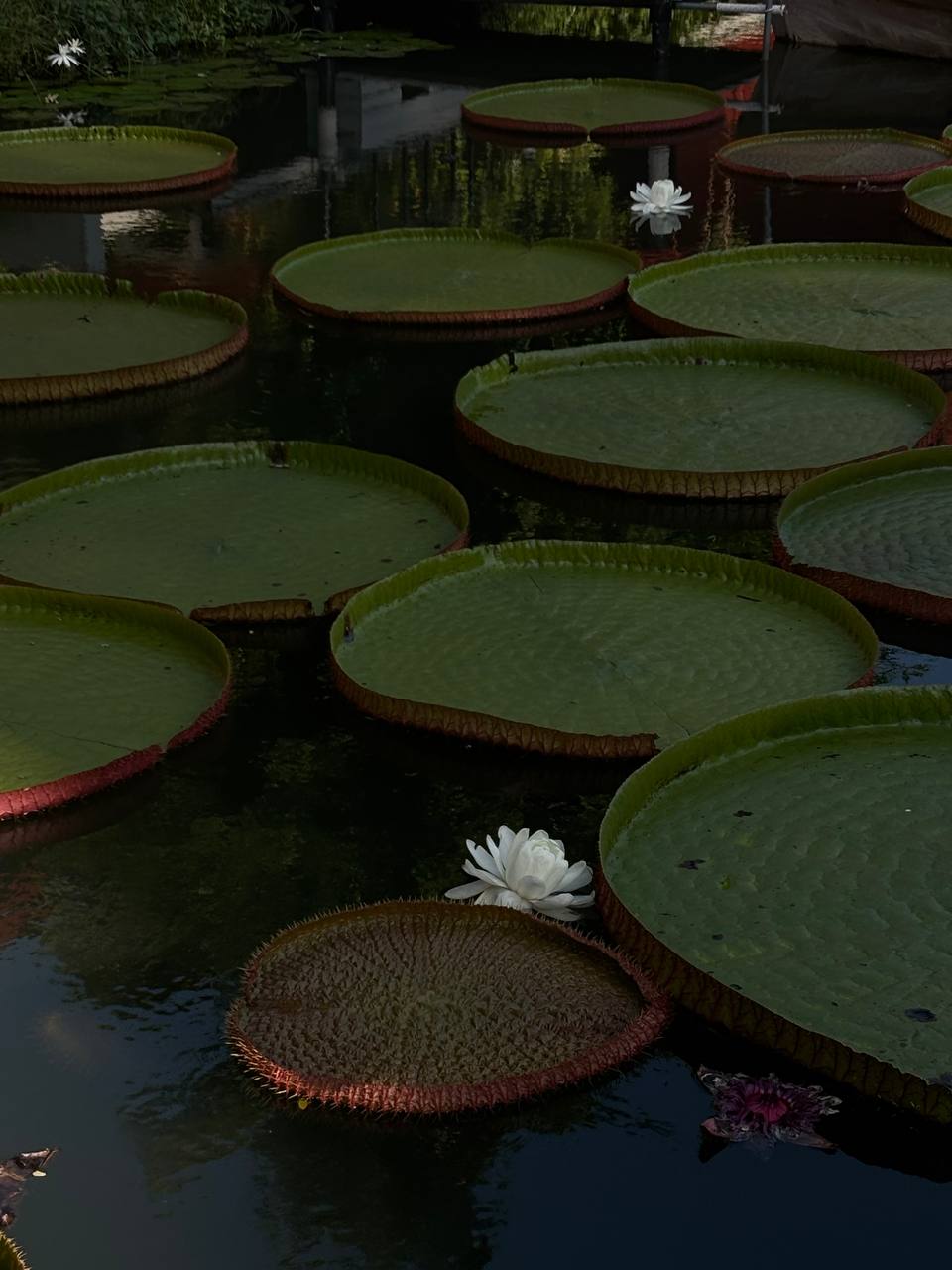 Впечатления от поездки с гидом