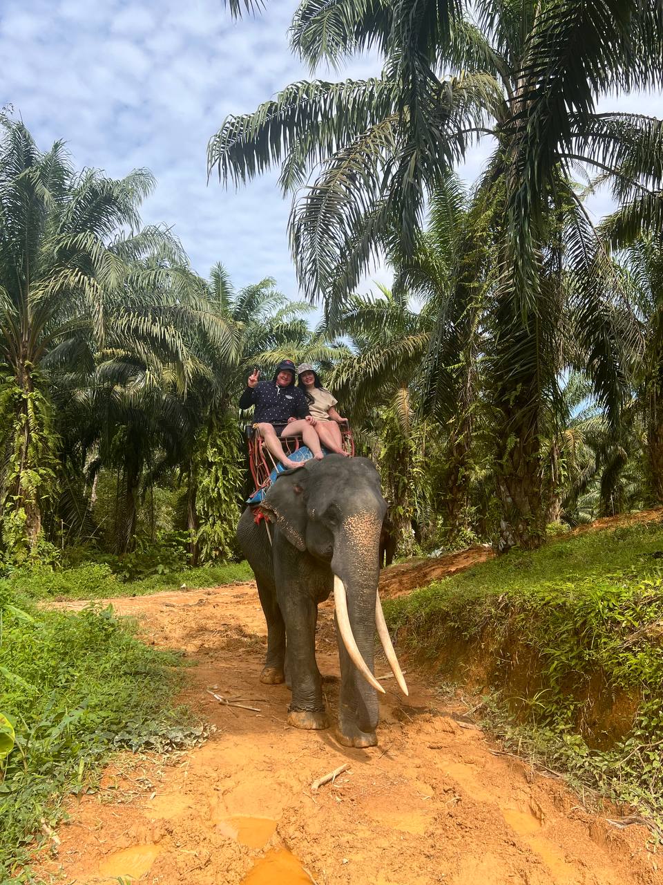 Отзыв о экскурсиях от Тропик Тур