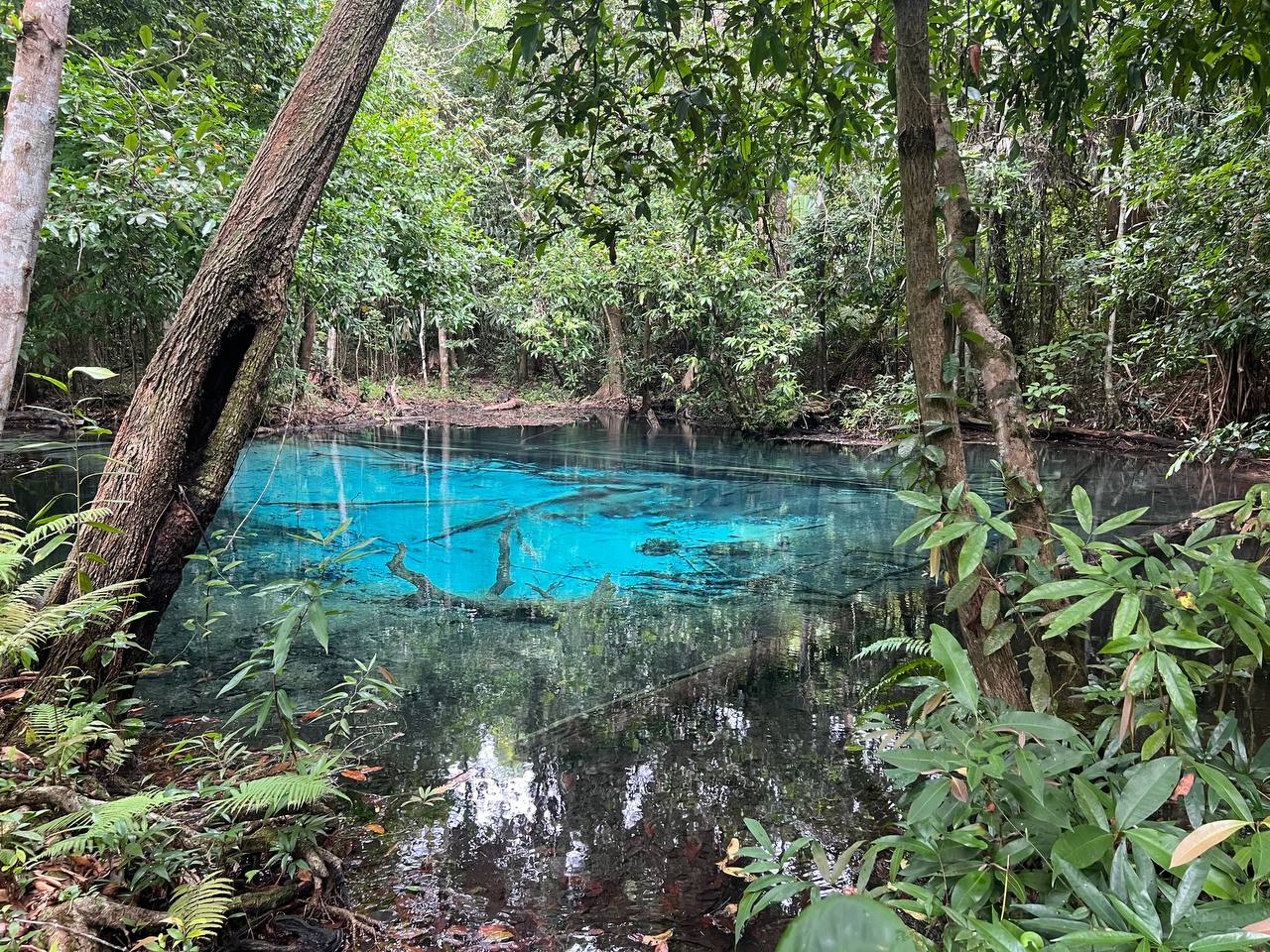 Отзыв о экскурсиях от Тропик Тур