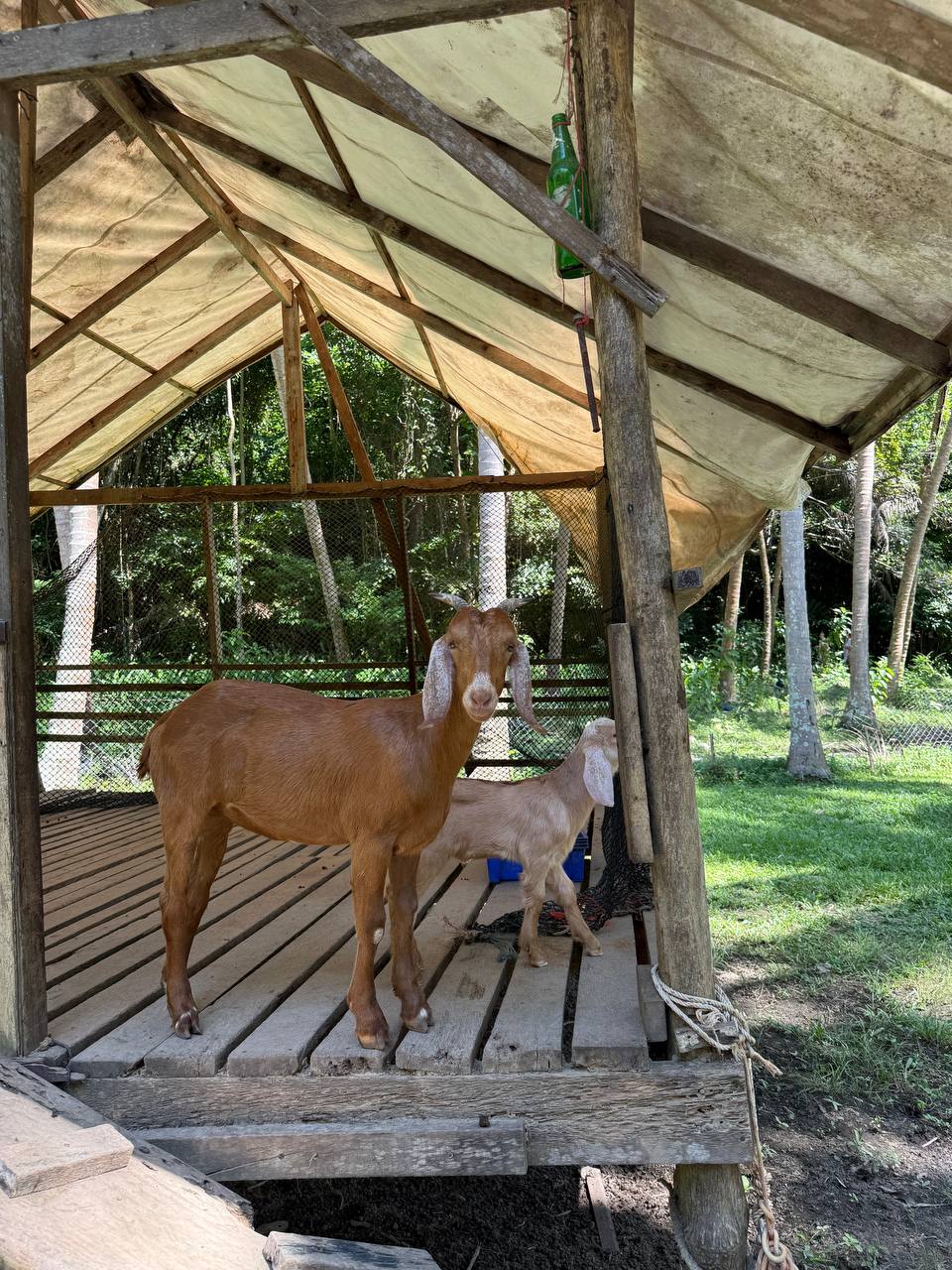 Экскурсия на гидроциклах по островам