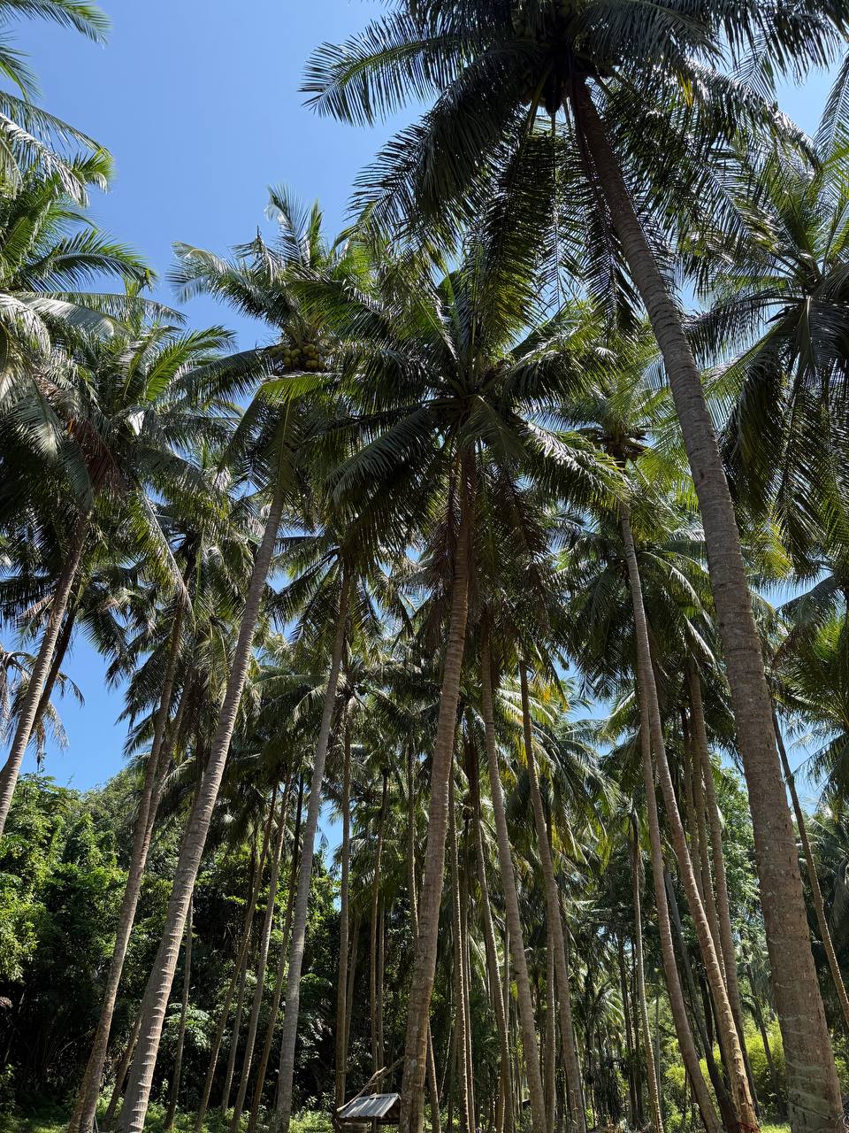 Экскурсия на гидроциклах по островам