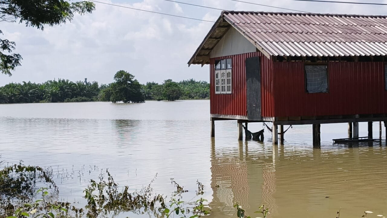 Паттани восстанавливается после наводнений