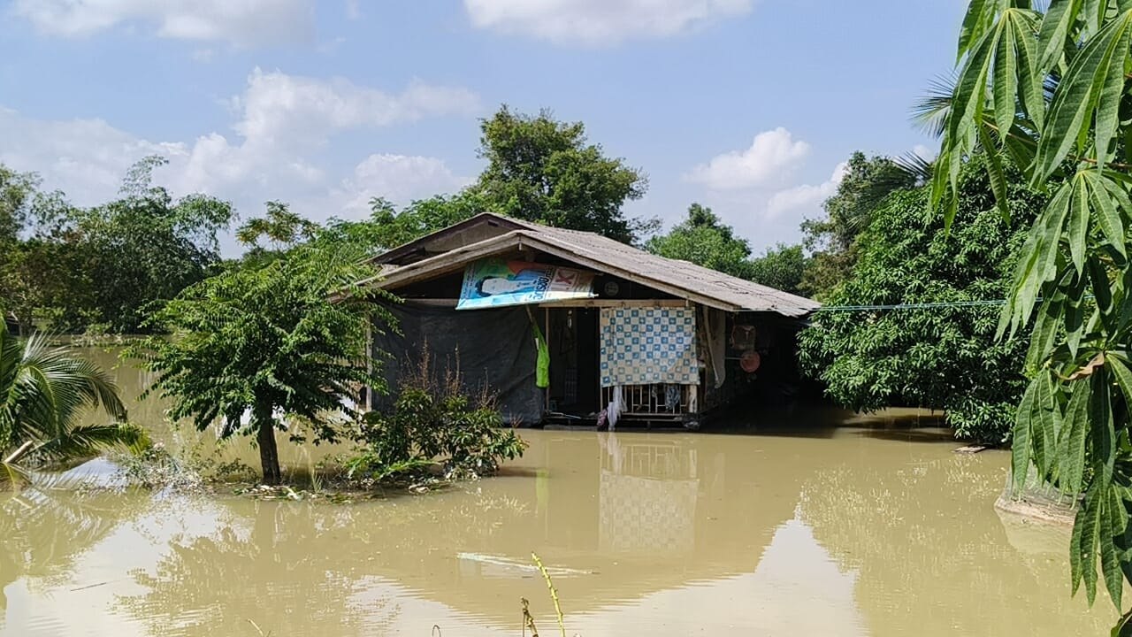 Паттани восстанавливается после наводнений