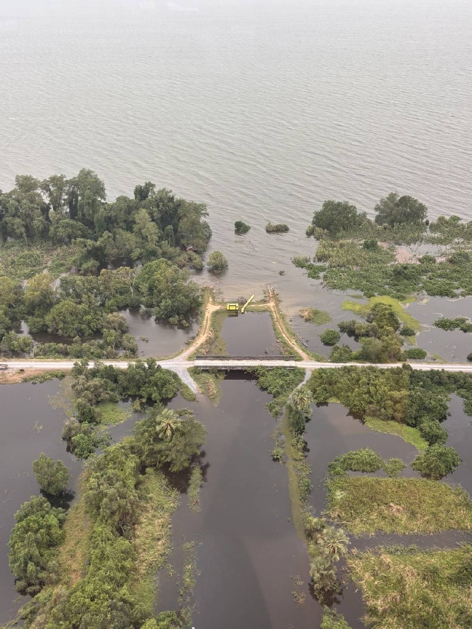 Спасение дельфинов в Таиланде