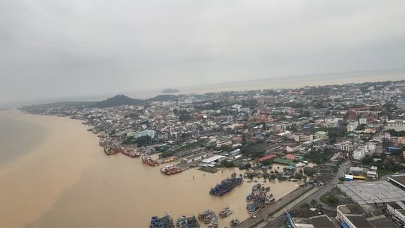 Спасение дельфинов в Таиланде