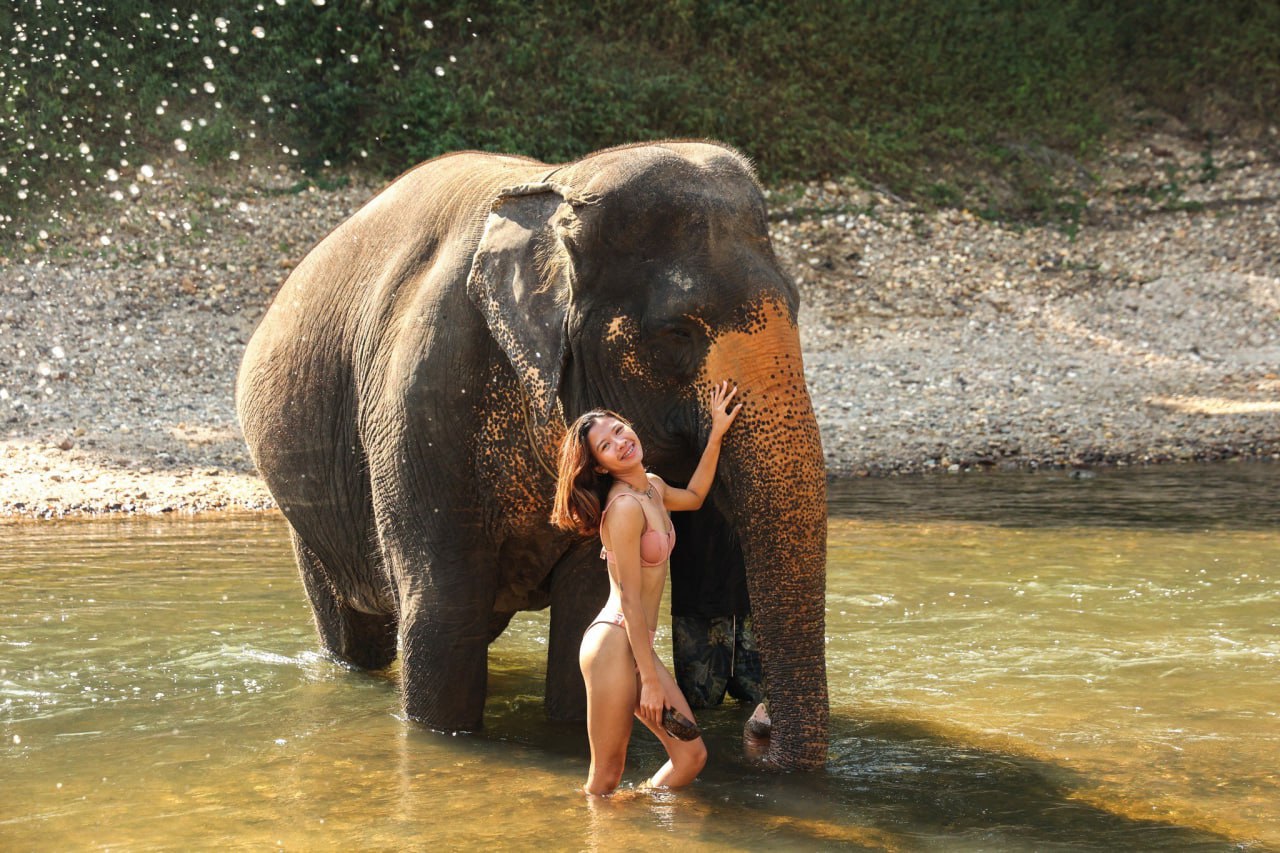 Этичный заповедник слонов на Пхукете
