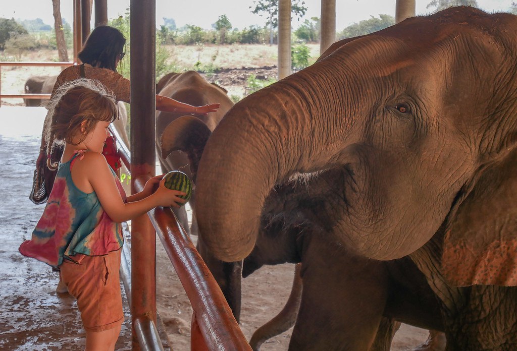 Этичный заповедник слонов на Пхукете