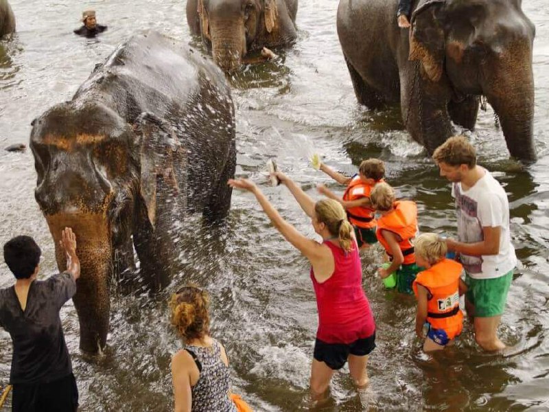 Этичный заповедник слонов на Пхукете