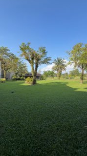 Уютная квартира для новогоднего отдыха