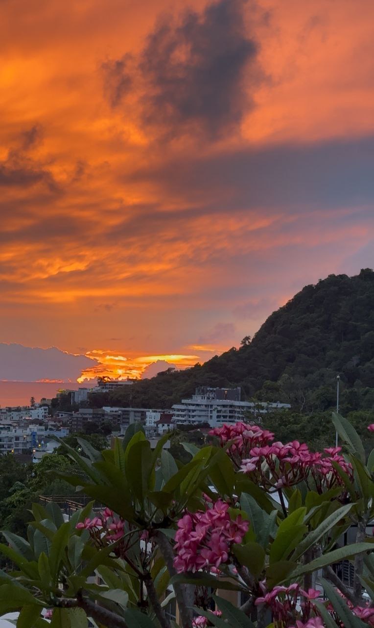 Доска объявлений в Таиланде