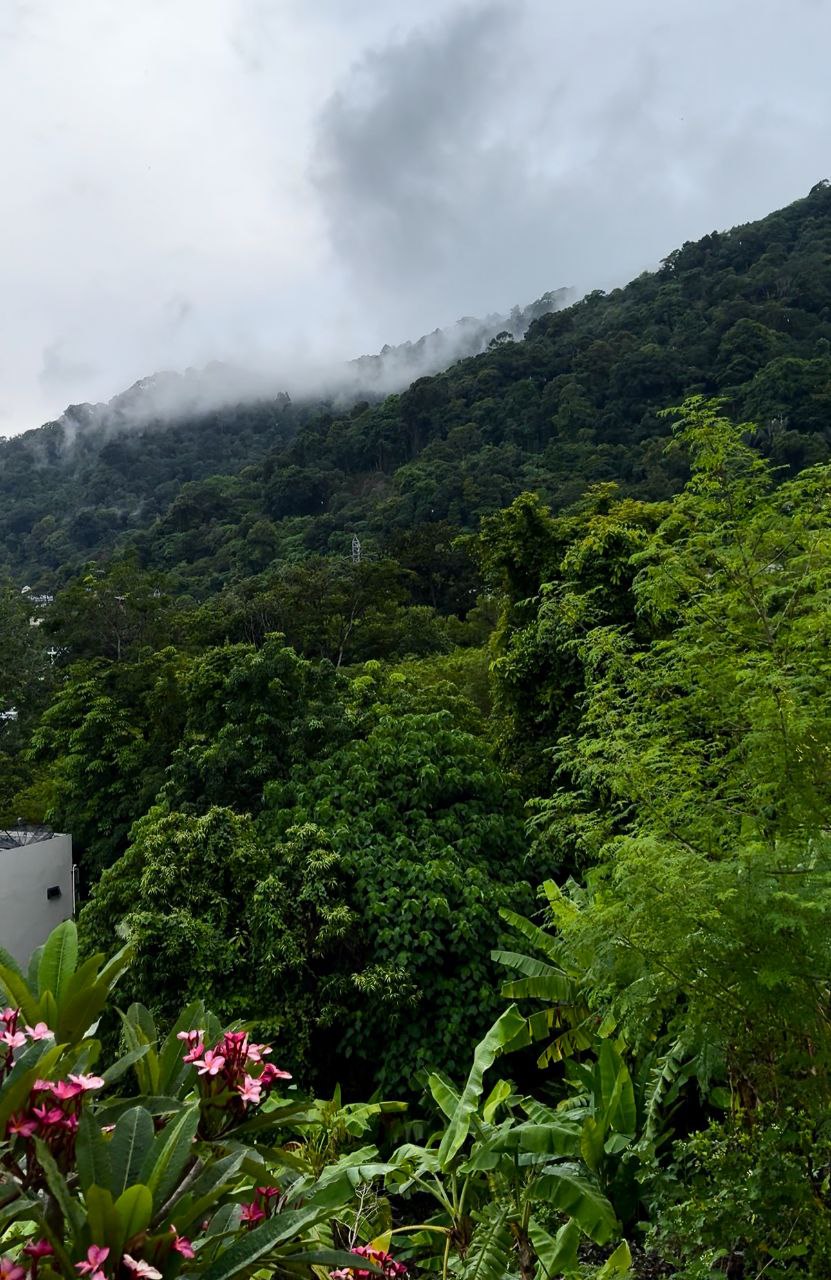 Доска объявлений в Таиланде