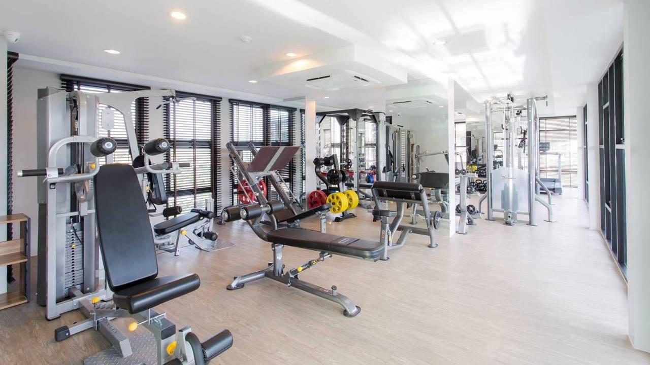 Аренда апартаментов с видом на зелень