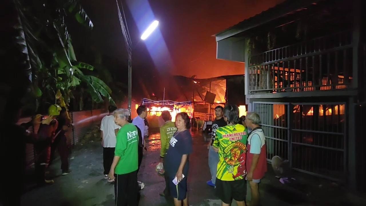 Трагедия в Аюттхае: пожар унес жизни кошек