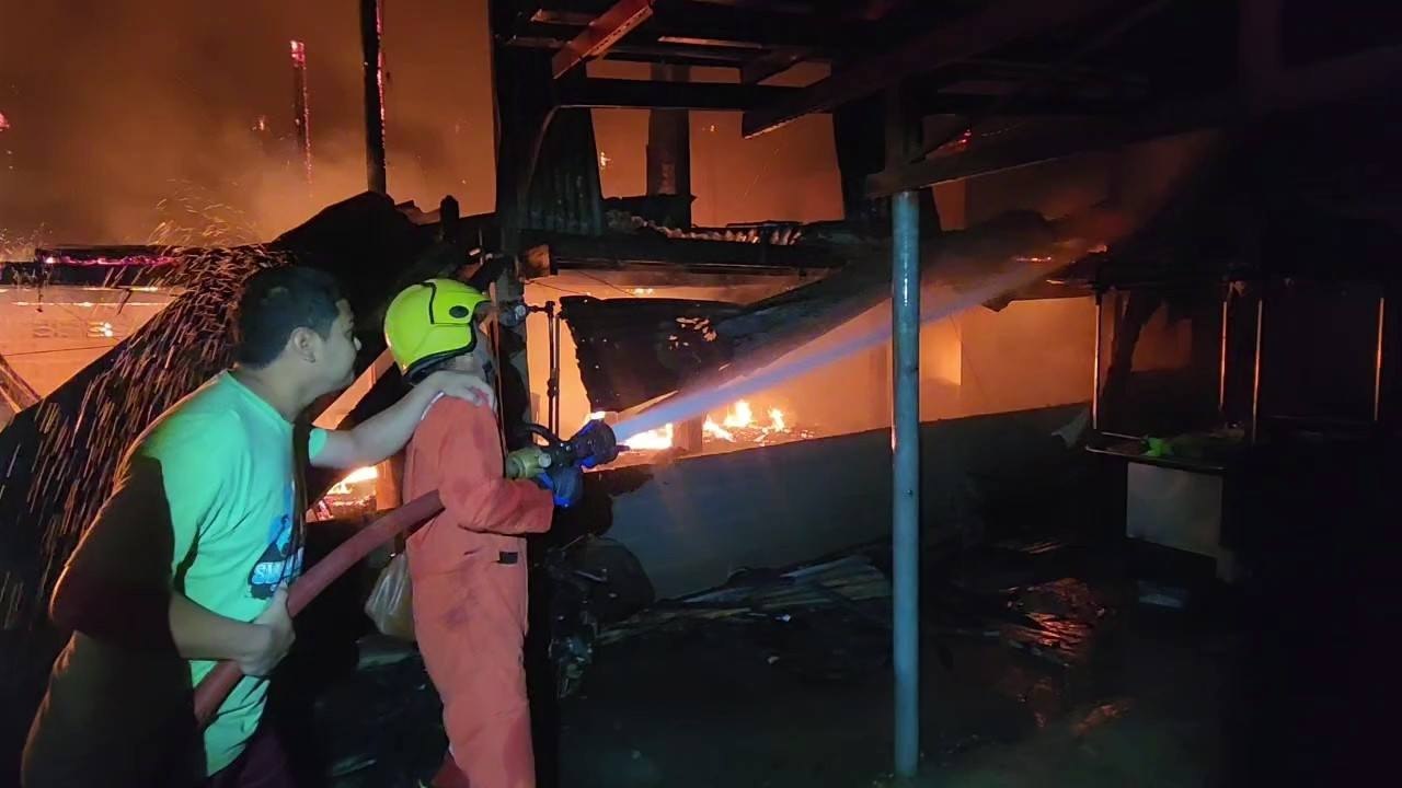 Трагедия в Аюттхае: пожар унес жизни кошек