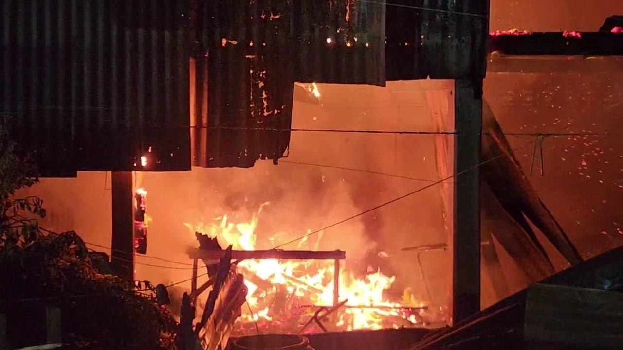 Трагедия в Аюттхае: пожар унес жизни кошек