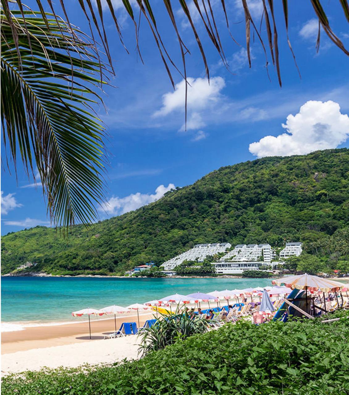 Доска объявлений в Таиланде