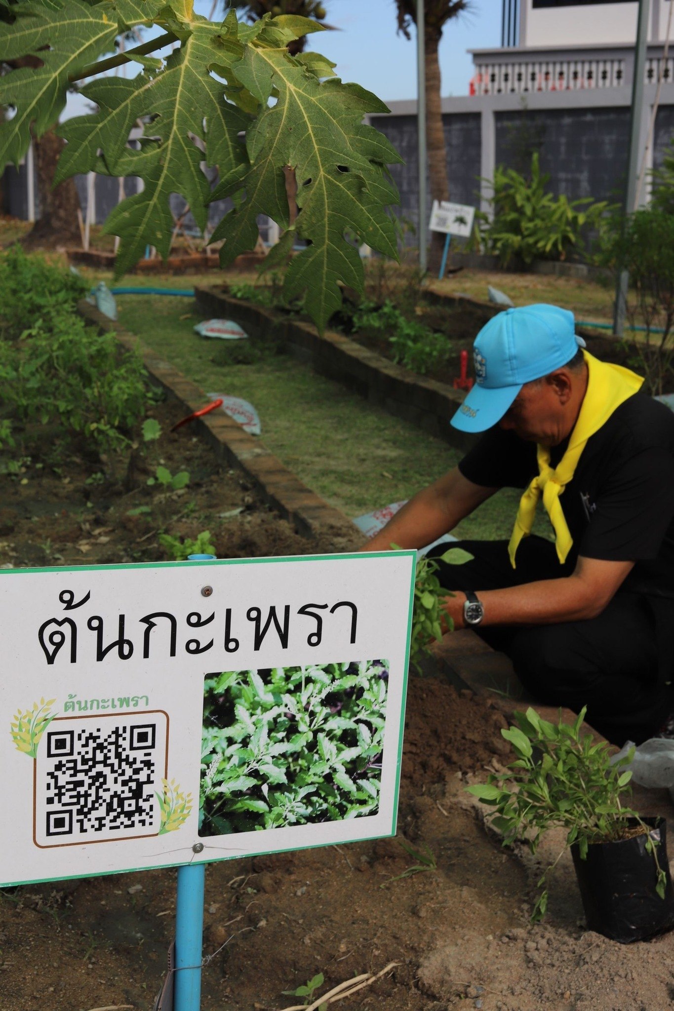 Торжественная церемония в честь короля Таиланда