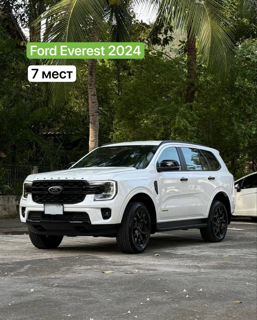 Аренда авто с поддержкой и страхованием